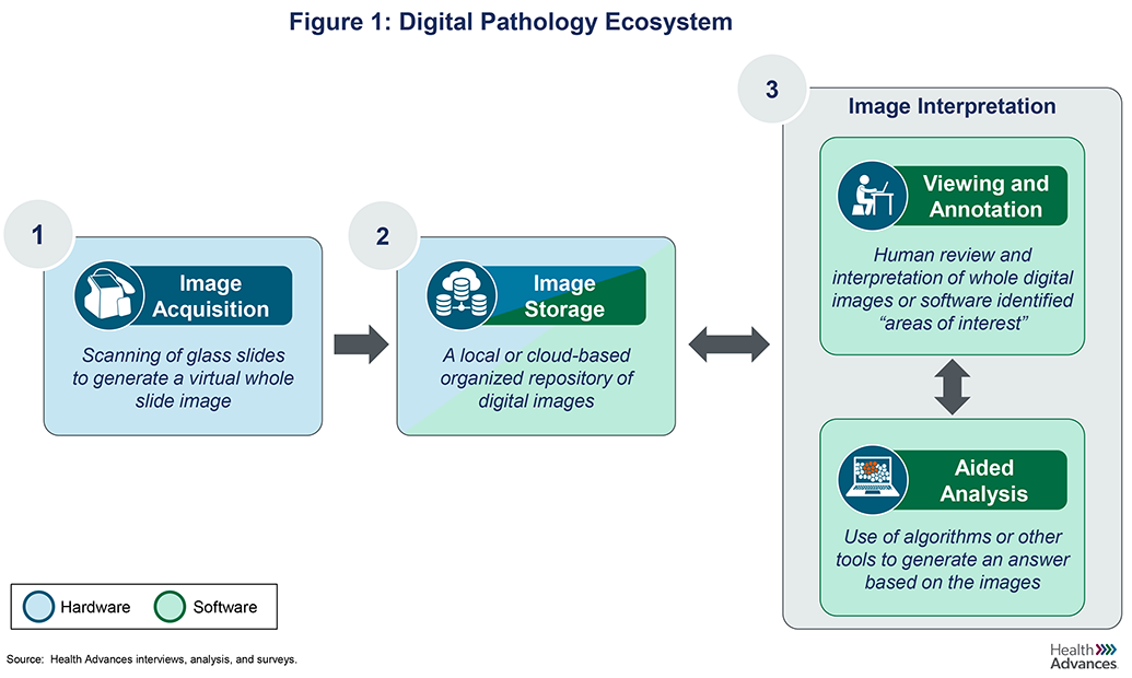 ecosystem-figure01.png